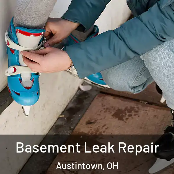  Basement Leak Repair Austintown, OH