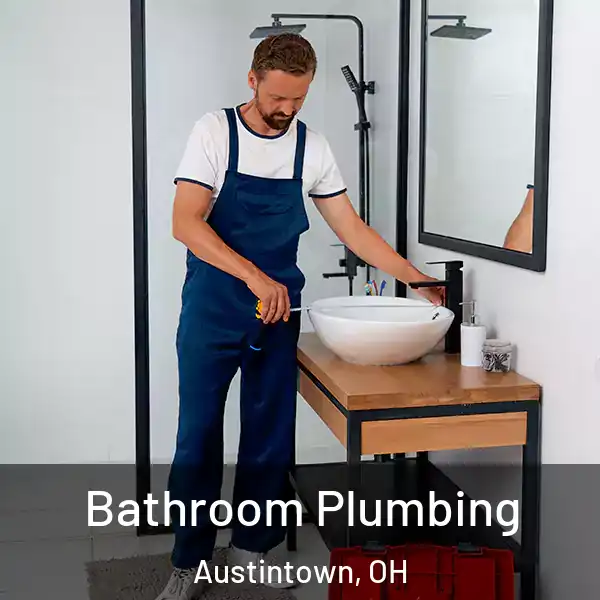  Bathroom Plumbing Austintown, OH