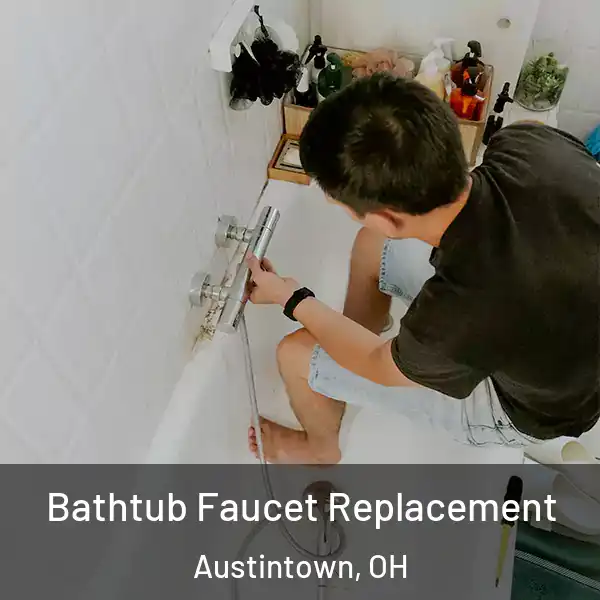  Bathtub Faucet Replacement Austintown, OH