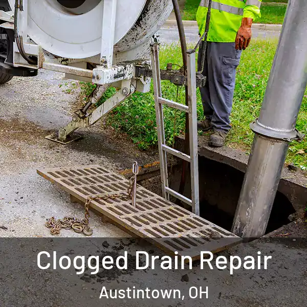  Clogged Drain Repair Austintown, OH