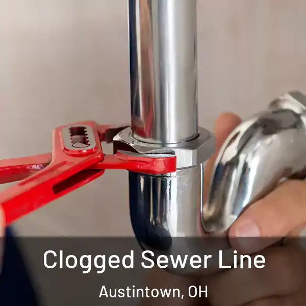  Clogged Sewer Line Austintown, OH