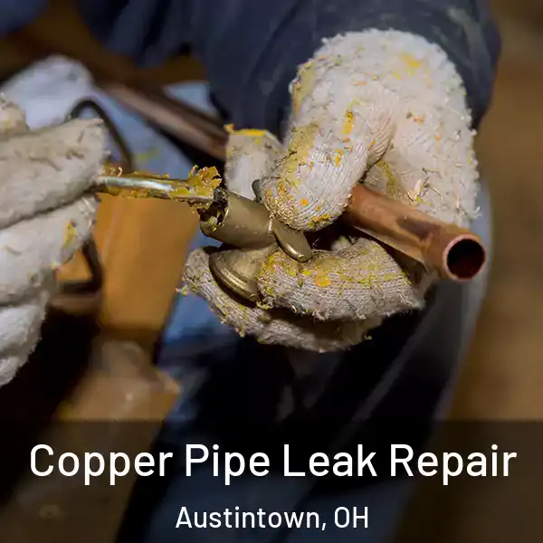  Copper Pipe Leak Repair Austintown, OH