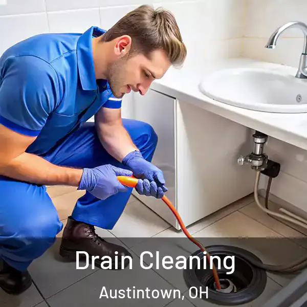  Drain Cleaning Austintown, OH