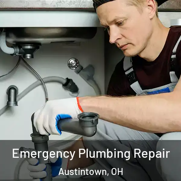  Emergency Plumbing Repair Austintown, OH