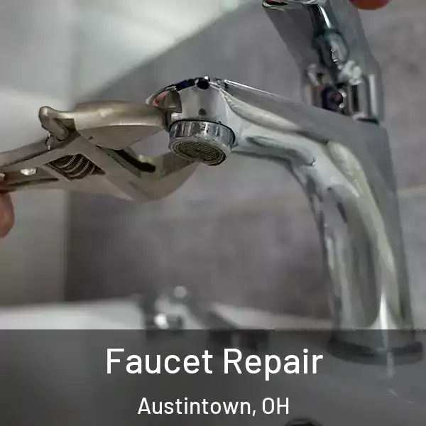  Faucet Repair Austintown, OH
