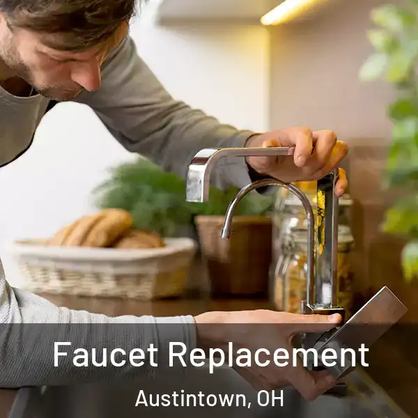  Faucet Replacement Austintown, OH