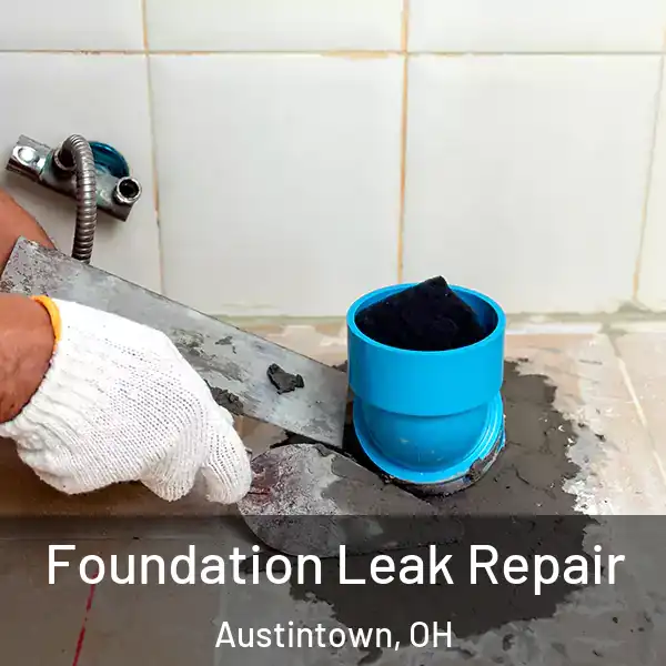  Foundation Leak Repair Austintown, OH