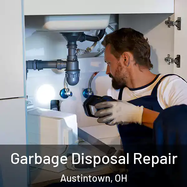  Garbage Disposal Repair Austintown, OH