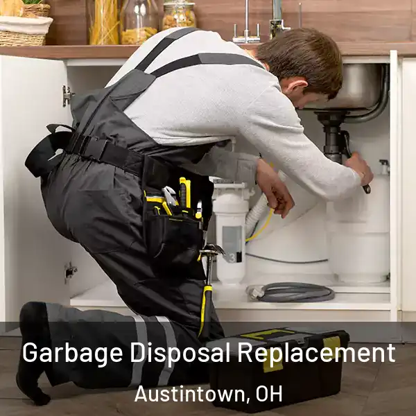  Garbage Disposal Replacement Austintown, OH