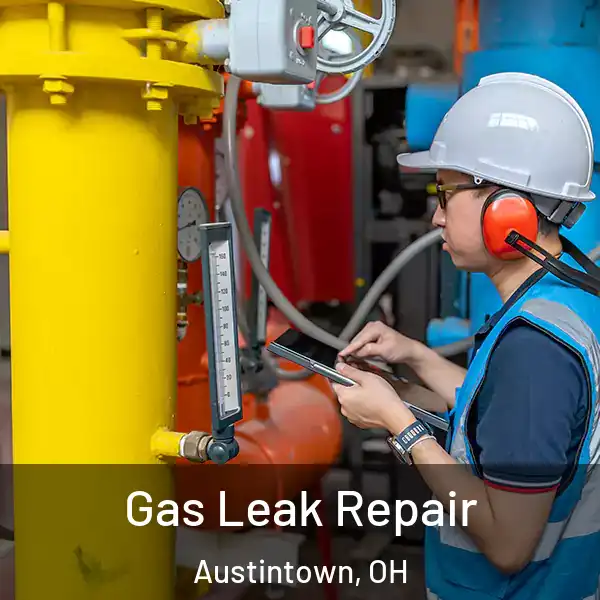  Gas Leak Repair Austintown, OH