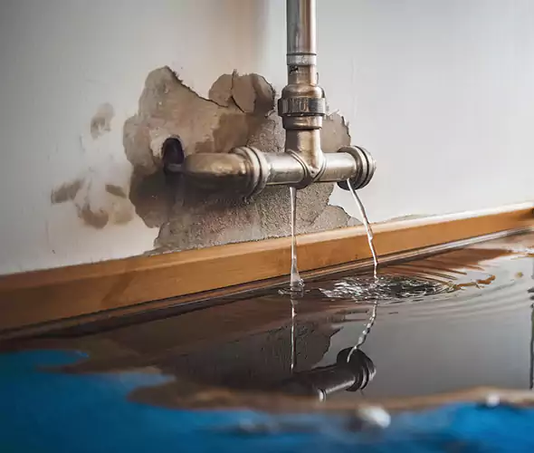 Professional Water Damage Restoration Experts in Austintown, OH — Fast, Reliable & Certified