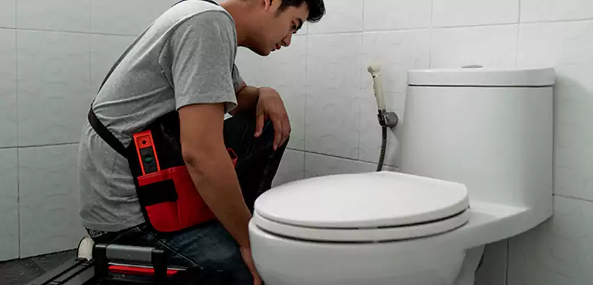 Toilet Repair in Austintown