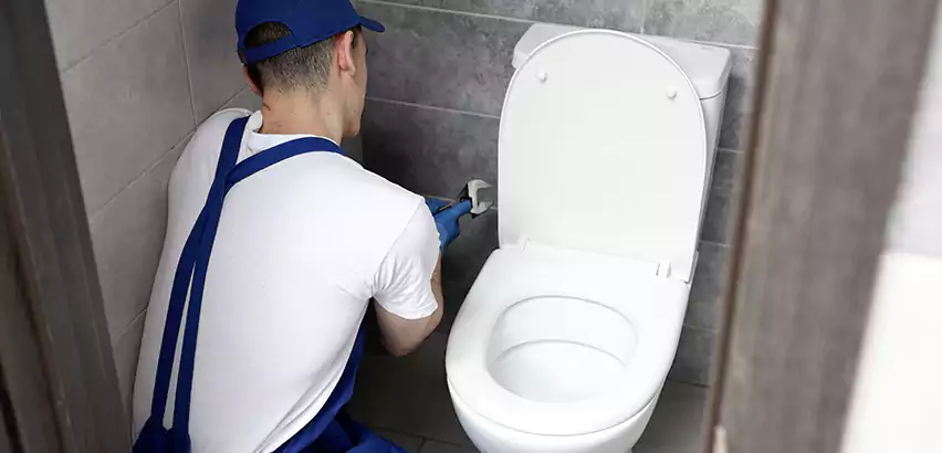 Toilet Lid Replacement in Austintown