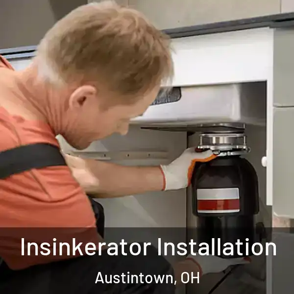  Insinkerator Installation Austintown, OH