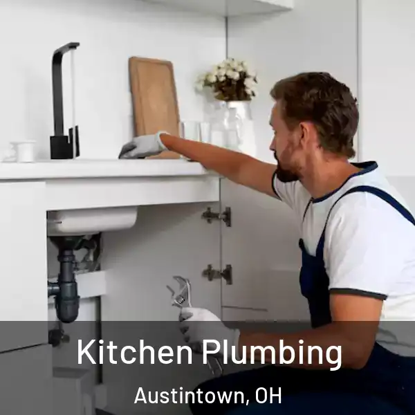  Kitchen Plumbing Austintown, OH