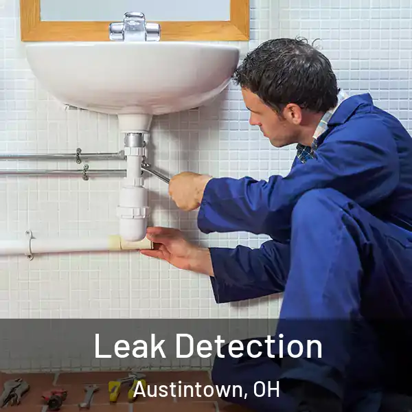  Leak Detection Austintown, OH