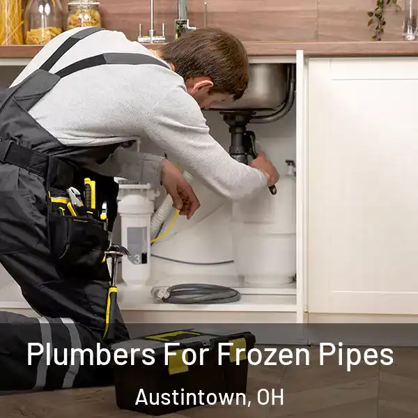  Plumbers For Frozen Pipes Austintown, OH