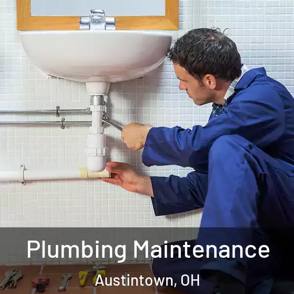  Plumbing Maintenance Austintown, OH
