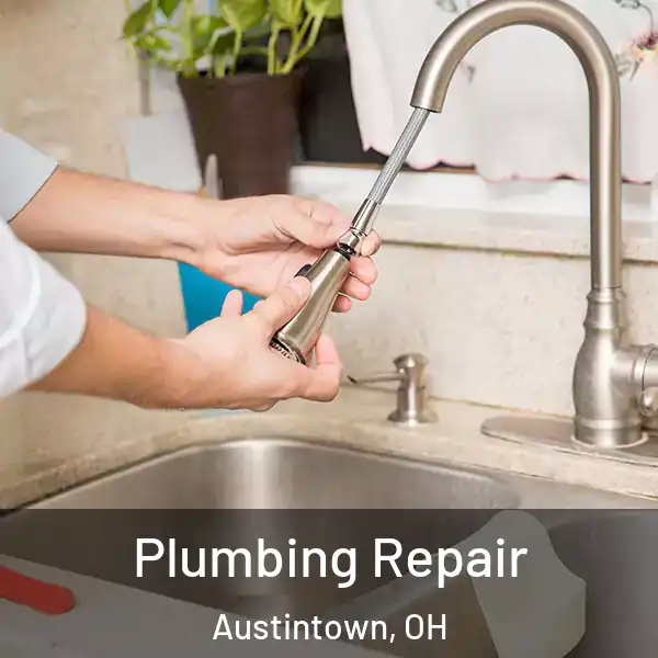  Plumbing Repair Austintown, OH