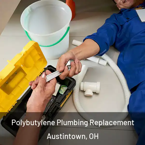  Polybutylene Plumbing Replacement Austintown, OH