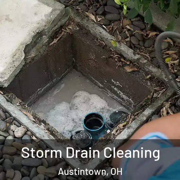  Storm Drain Cleaning Austintown, OH