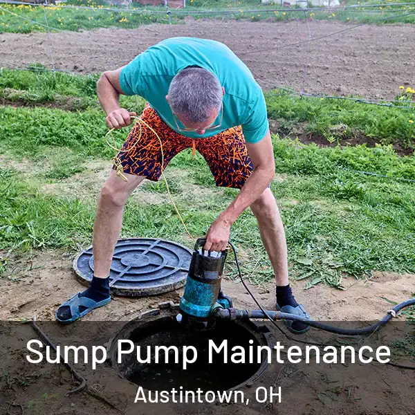  Sump Pump Maintenance Austintown, OH