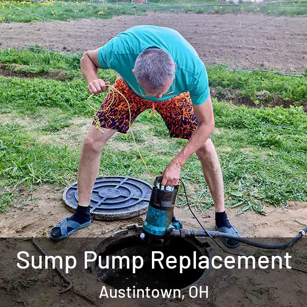  Sump Pump Replacement Austintown, OH