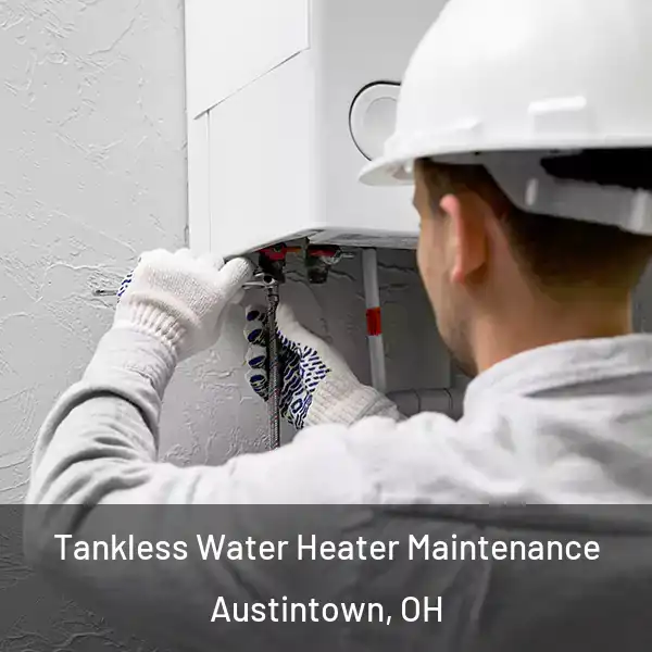  Tankless Water Heater Maintenance Austintown, OH
