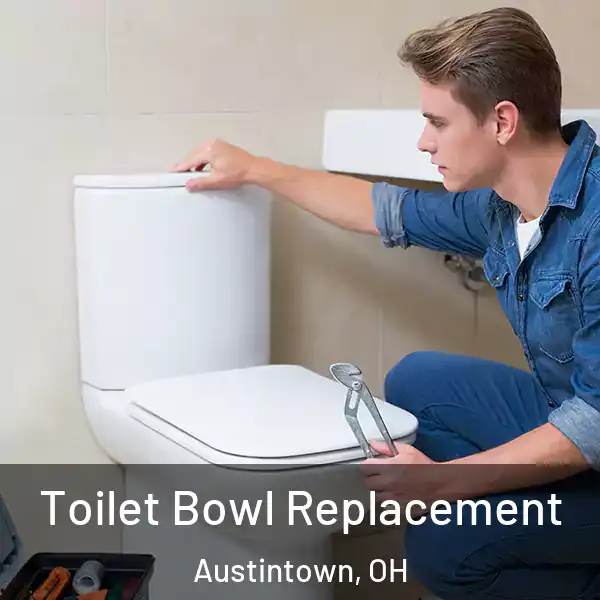 Toilet Bowl Replacement Austintown, OH