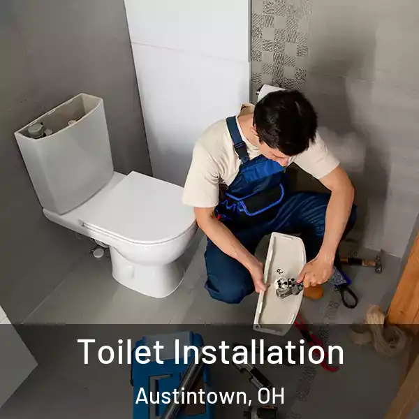  Toilet Installation Austintown, OH