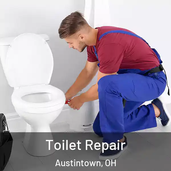  Toilet Repair Austintown, OH