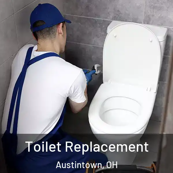  Toilet Replacement Austintown, OH