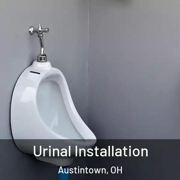  Urinal Installation Austintown, OH
