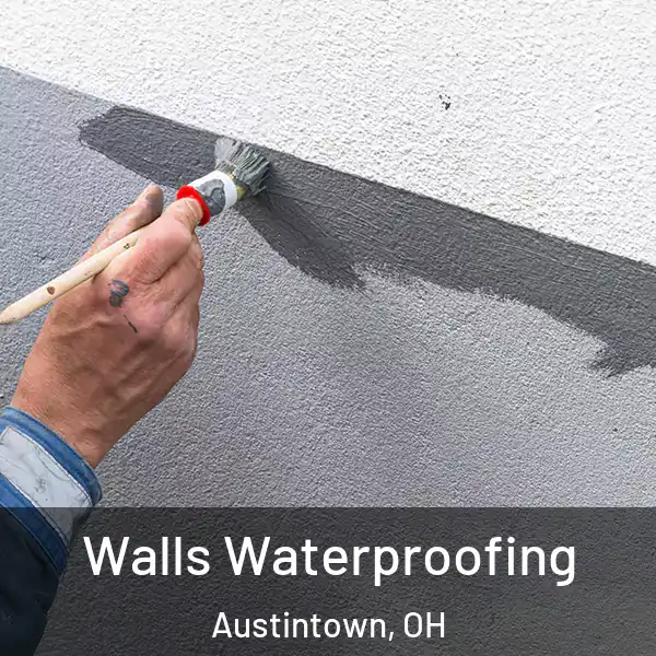  Walls Waterproofing Austintown, OH