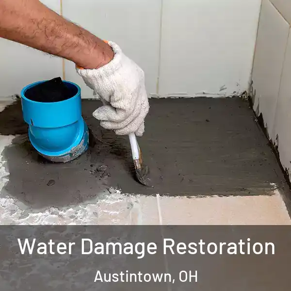  Water Damage Restoration Austintown, OH