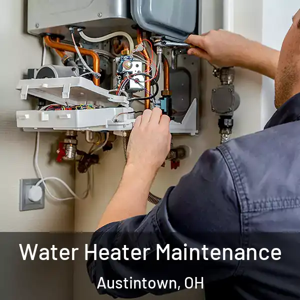  Water Heater Maintenance Austintown, OH