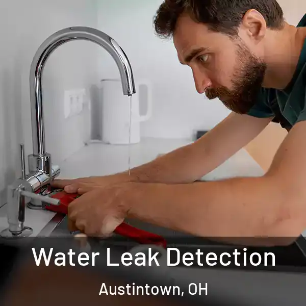  Water Leak Detection Austintown, OH