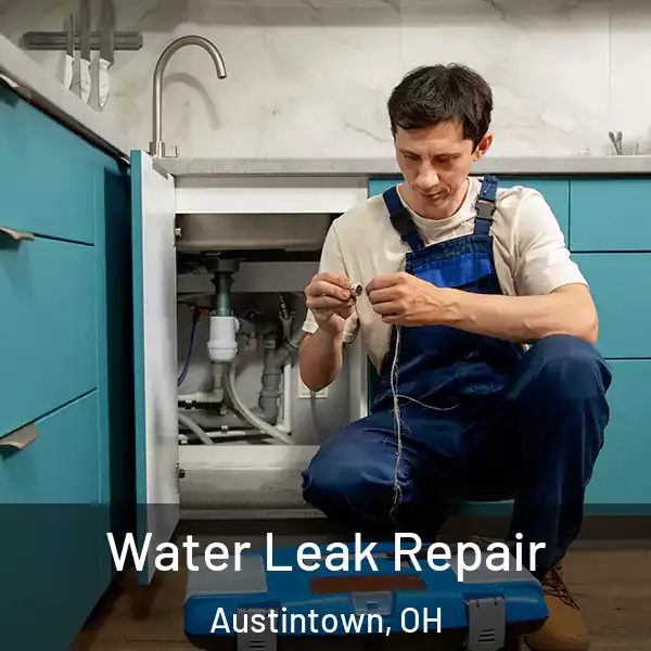  Water Leak Repair Austintown, OH