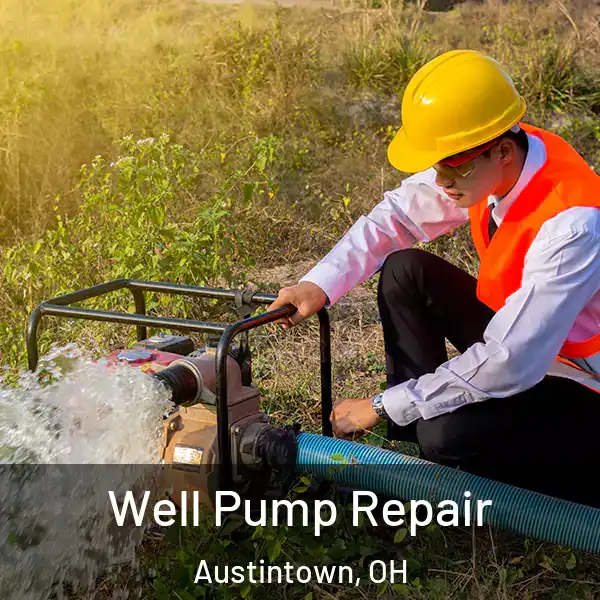  Well Pump Repair Austintown, OH